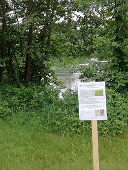 Warnung vor Blaualgen am Ebenhausener Weiher